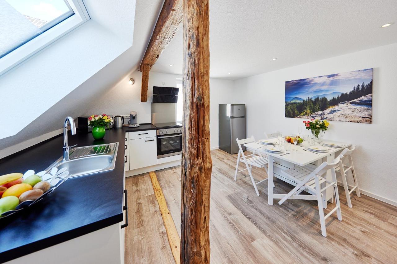 Wohnung 15 - Traumhaft Uebernachten Ringsheim Dış mekan fotoğraf